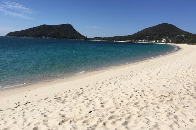 Port Stephens Private Tour From Sydney, with Dolphin/ Whale Cruise Options - FAQs
