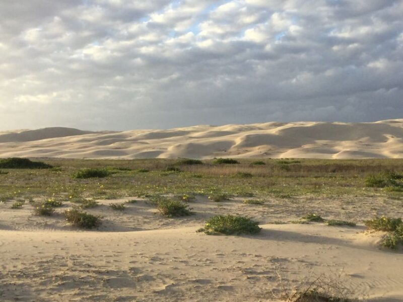 Port Stephens: Stockton Sand Dunes 4WD Tag-Along Tour - Who Should Consider This Tour?