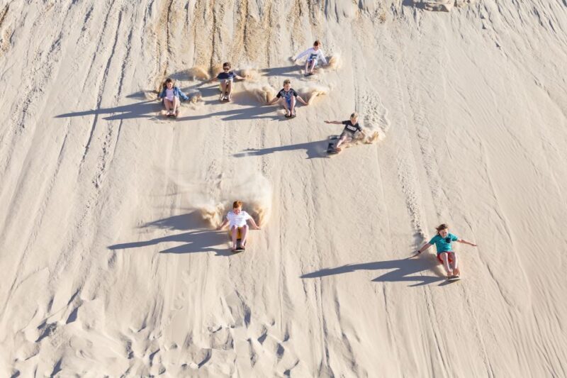 Port Stephens: Unlimited Sandboarding & 4WD Sand Dune Tour - Who Will Enjoy This Most?