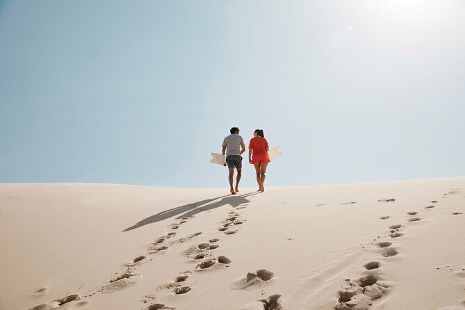 Port Stephens + Whale Watching + 4WD/Sandboarding ex Sydney - Authentic Experiences and Honest Insights