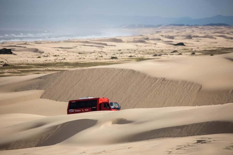 Port Stephens: Worimi National Park Sandboarding Adventure - The Experience in Detail
