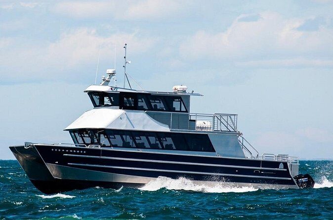 Port Townsend Wildlife Watching Cruise - The Guides: Knowledgeable and Passionate