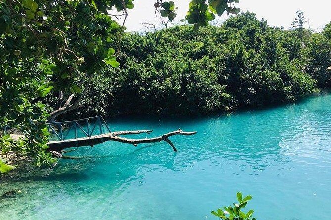Port Vila Full Day Tour - Experience the Real Vanuatu - Who Will Love This Tour?