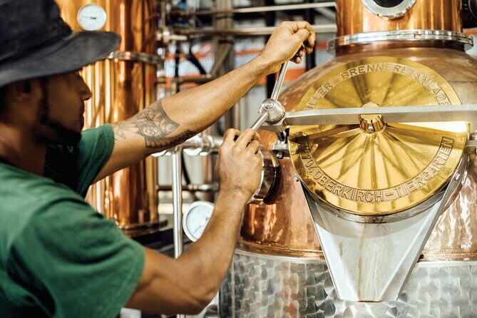 Port Vila's Guided Food Experience - Traditional Cooking and Village Life in Mele