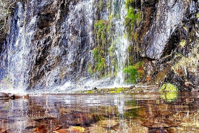 Port Whittier Day Tour - Wilderness, Wildlife & Ring of Glaciers - In-Depth Review of the Port Whittier Day Tour