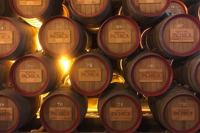 Port Wine Cellars Private Tour with Local Lunch - A Detailed Look at the Port Wine Cellars Private Tour