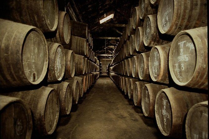 Port Wine Lodges Tour Including 7 Port Wine Tastings (English) - Key Points