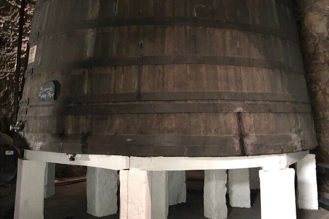 Port Wine Tour | 3 Cellars | 7 Tastings | 12 Participants Maximum - An In-Depth Look at the Port Wine Tour