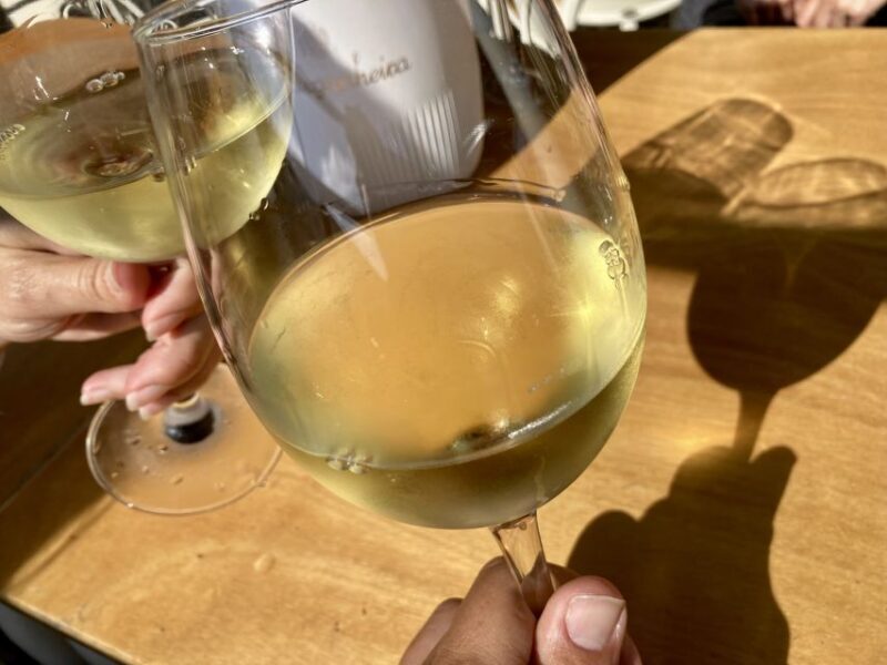 Port wine & wine walking tour with culture - max 8 pax - Frequently Asked Questions