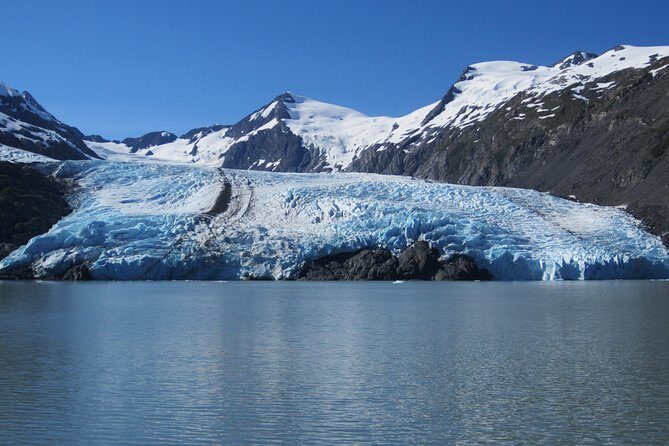 Portage Glacier Cruise and Wildlife Explorer Tour - Exploring the Tour: A Deep Dive into Every Stop
