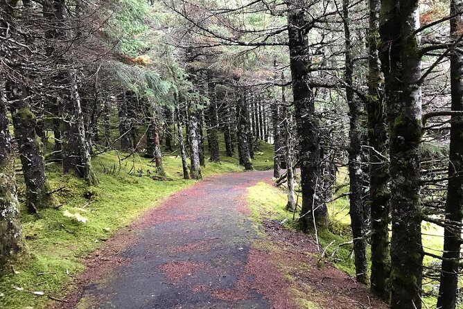 Portage Glacier Cruise and Wildlife Explorer Tour - FAQs