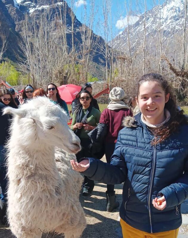 Portillo + Laguna del Inca with picnic - Discover the Majestic Andes: Portillo + Laguna del Inca with Picnic