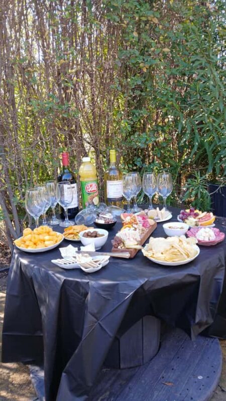 Portillo + Laguna del Inca with picnic - What Makes This Tour Stand Out