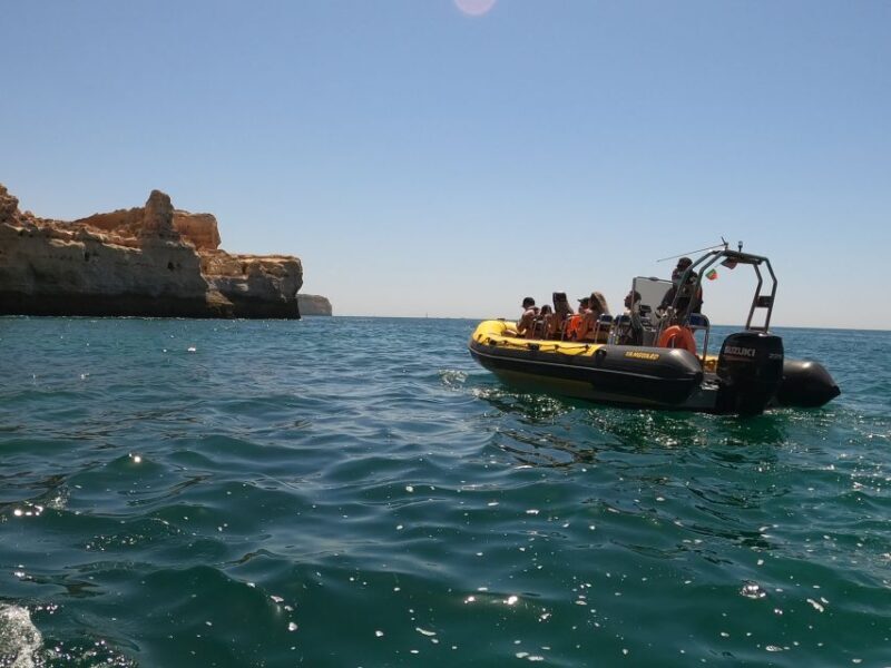 Portimão: 2-Hour Dolphin Watching Boat Tour - An In-Depth Look at the Dolphin Watching Experience
