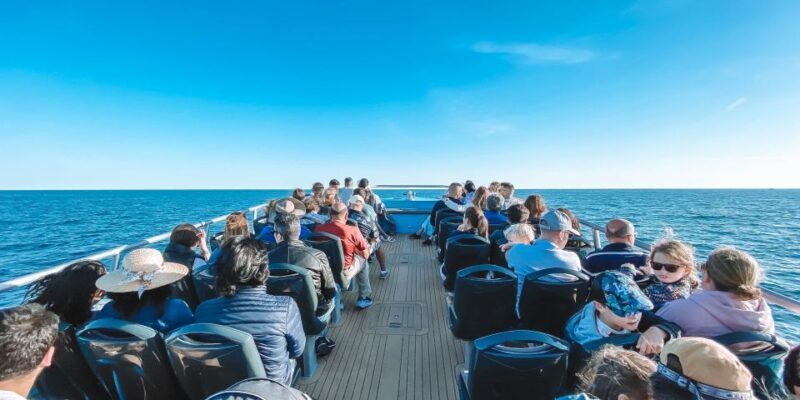 Portimão: Benagil Caves & Dolphins Watching with Biologist - Key Points