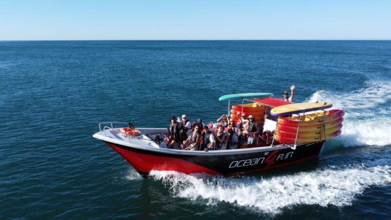 Portimão: Benagil Caves Speedboat and Kayak Guided Tour - Authentic Experiences from Travelers
