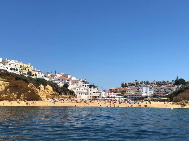 Portimão: Dophin Watching on the Algarve Coast - In-Depth Review and Practical Tips