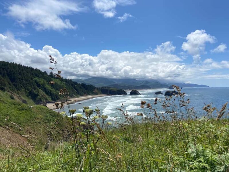 Portland: Cannon Beach and Ecola State Park Hiking Tour - Exploring Ecola State Park’s Forests and Views