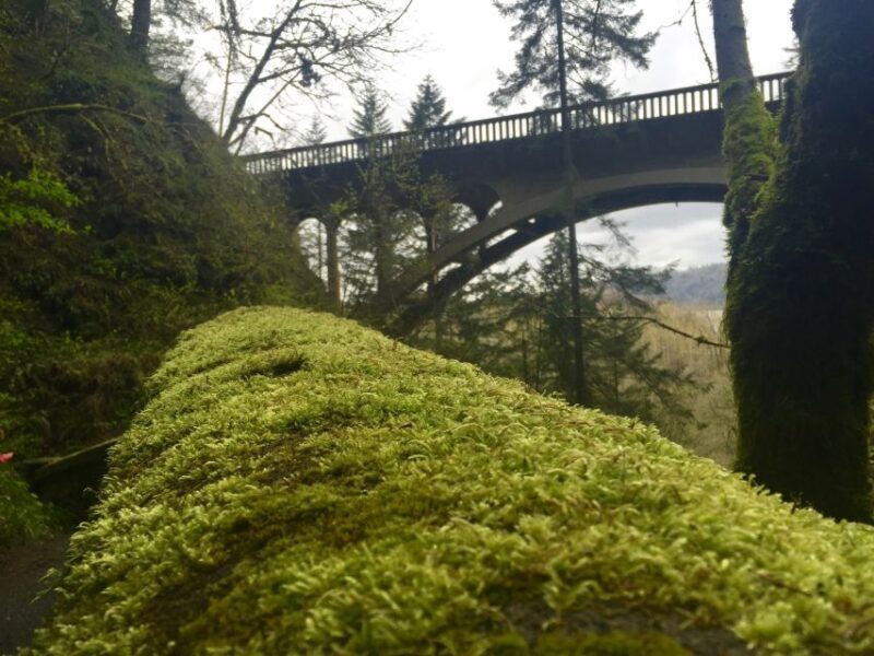 Portland: Columbia River Gorge 3-Hour Small Group Tour - Frequently Asked Questions