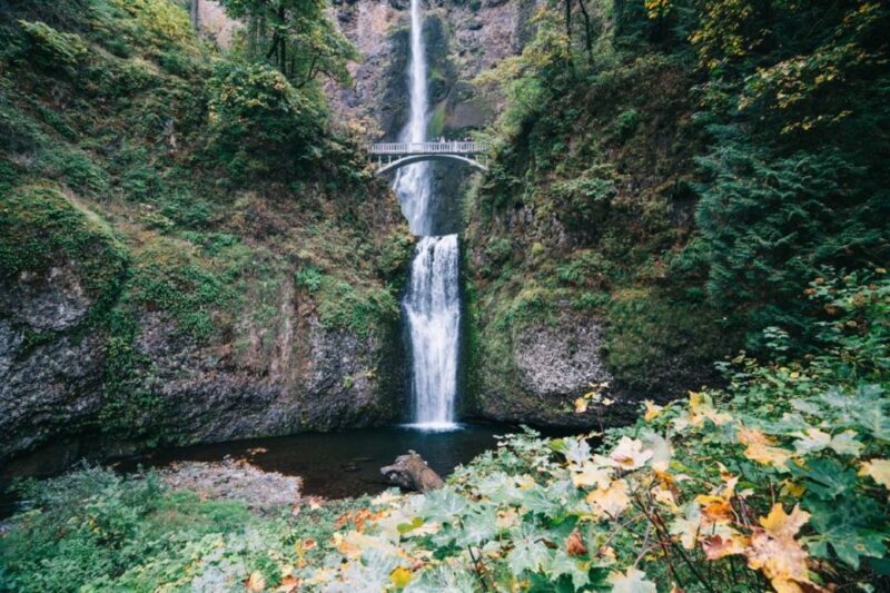 Portland: Columbia River Gorge Waterfalls Afternoon Tour - Final Thoughts