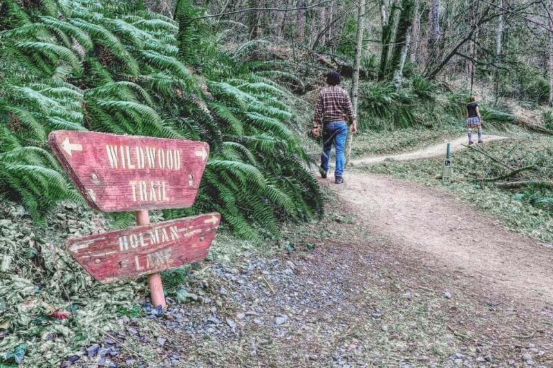 Portland: Forest Park Guided Hike with Witches Castle - Discovering Forest Park and Its Highlights