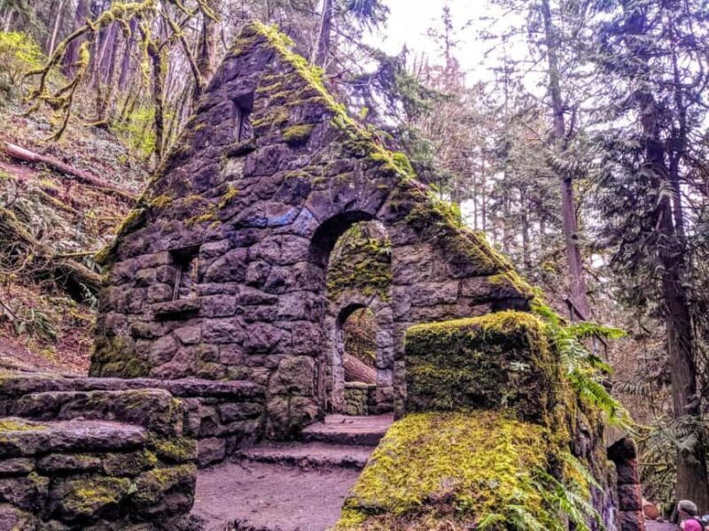 Portland: Forest Park Guided Hike with Witches Castle - Who Will Love This Tour?