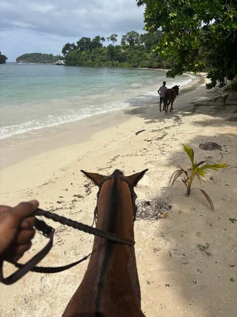 Portland, Jamaica: Horseback Riding Tour - Key Points