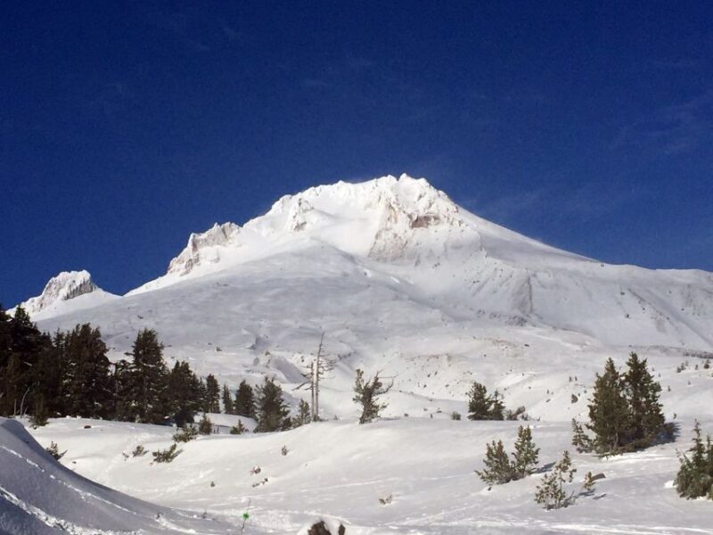 Portland: Mount Hood Wine and Waterfalls Full-Day Tour - What to Expect from This Full-Day Tour