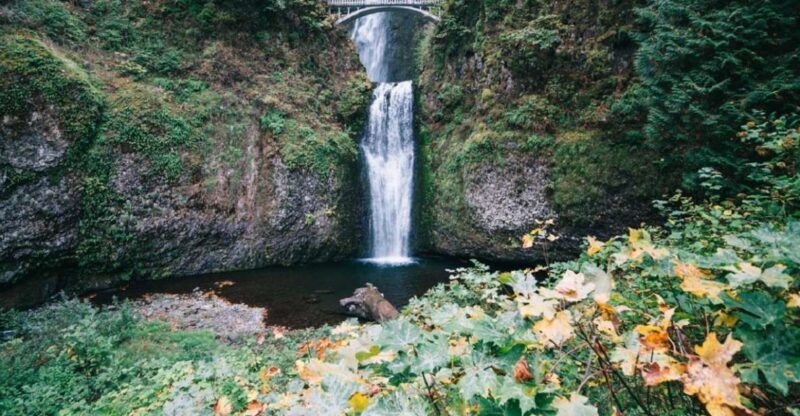 Portland: Mt. Hood Day Tour - Key Points