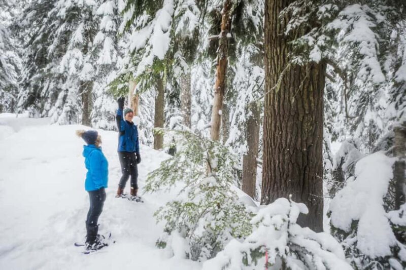 Portland: Mt. Hood Snowshoe Adventure with Lunch - Frequently Asked Questions