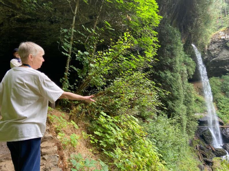 Portland Oregon: Silver Falls State Park Waterfall Hike - Who Is This Tour Best For?
