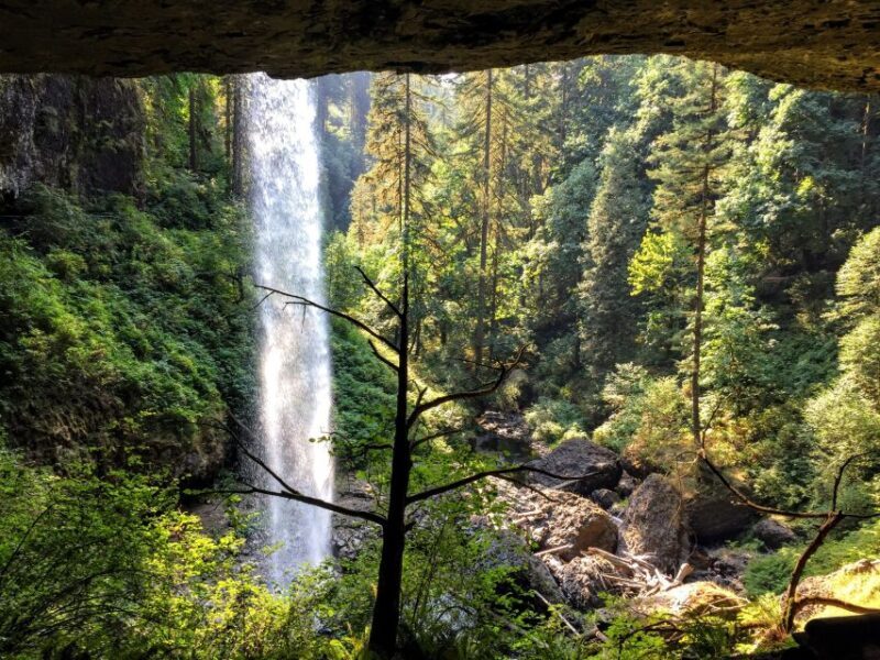 Portland: Silver Falls Hike - Discovering Silver Falls State Park and the Willamette Valley
