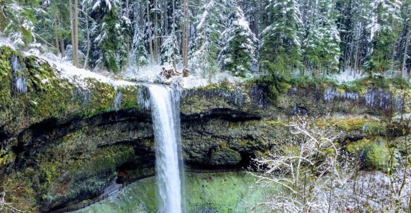 Portland: Silver Falls Hike - Authentic Experiences and Real Travelers’ Perspectives