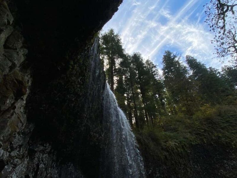 Portland: Silver Falls State Park Waterfall Hike - The Itinerary in Detail