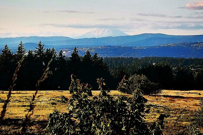 Portland Tea Party Outdoor Tea Ceremony Experience - Key Points