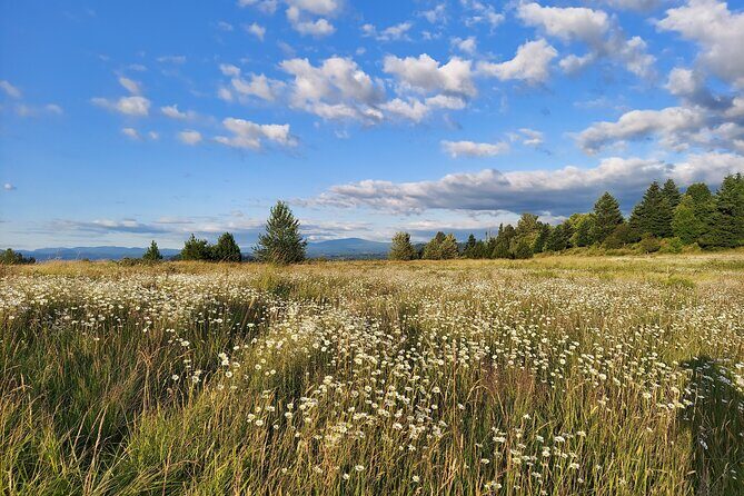 Portland Tea Party Outdoor Tea Ceremony Experience - The Sum Up