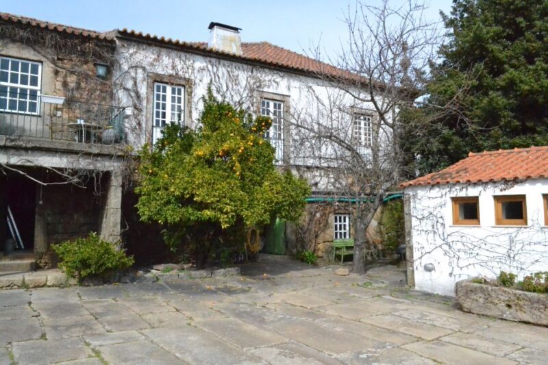 Porto: 3 Douro Valley Vineyards Tour with Lunch - Key Points