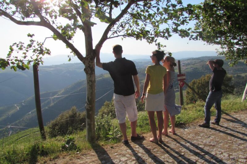 Porto: 3 Douro Valley Vineyards Tour with Lunch - What Reviews Say About the Experience