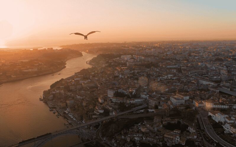 Porto: 5D Flight over de City for all family. - A Detailed Look at the Porto 5D Flight Experience