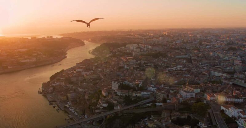 Porto: 5D Flight over de City for all family. - Who Will Get the Most Out of This Experience?
