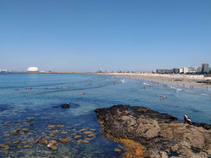Porto: a ride along the coast in a fun eco-friendly car - Who Will Love This Tour?