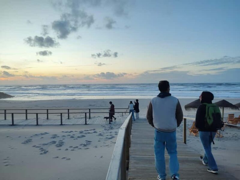 Porto: Aveiro Small-Group Half Day Tour - What Makes This Tour Stand Out?