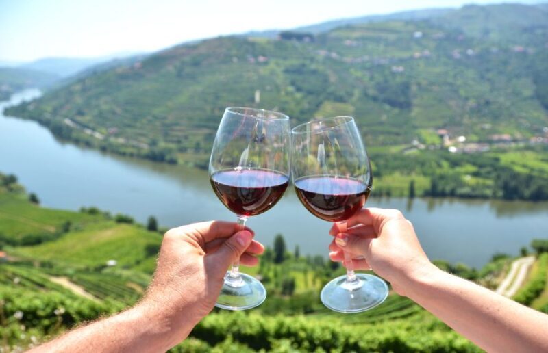 Porto City Full-Day Tour with Wine Tasting - Key Points