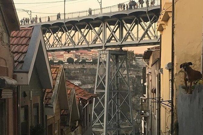 Porto City Private Tour From Lisbon - Final Thoughts