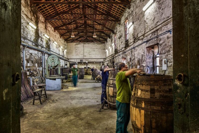 Porto: Cockburns Port Lodge Tour and Tasting - Tasting Options and Flavors