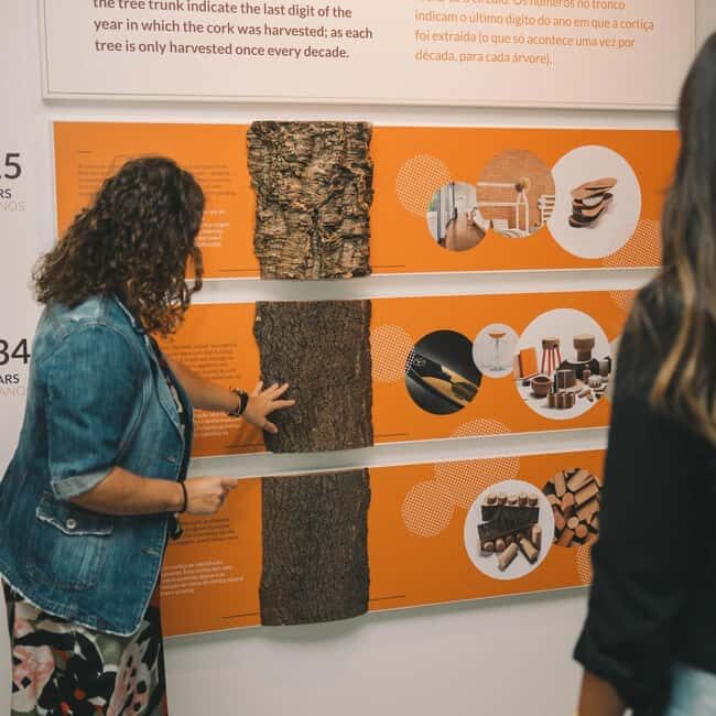 Porto: Cork Museum: Immersive and Perfect for Families - A Detailed Look at the Cork Museum Experience