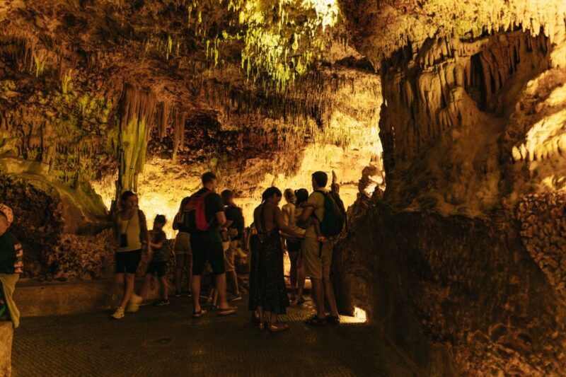Porto Cristo: Caves of Hams Entry Ticket - The Sum Up