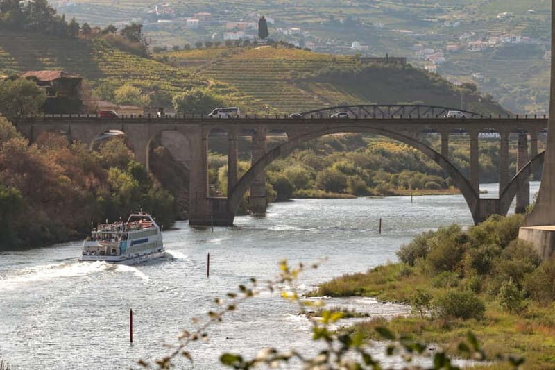 Porto: Cruise with Dinner & Live Music - Who Will Love This Experience?