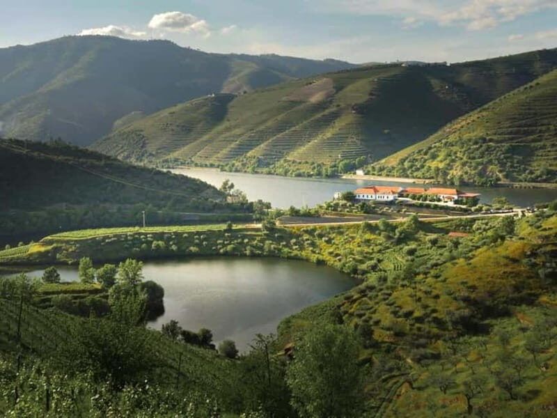 Porto: Dão Wineries Tour with Wine Tasting, Lunch and Cheese - The Value of This Tour