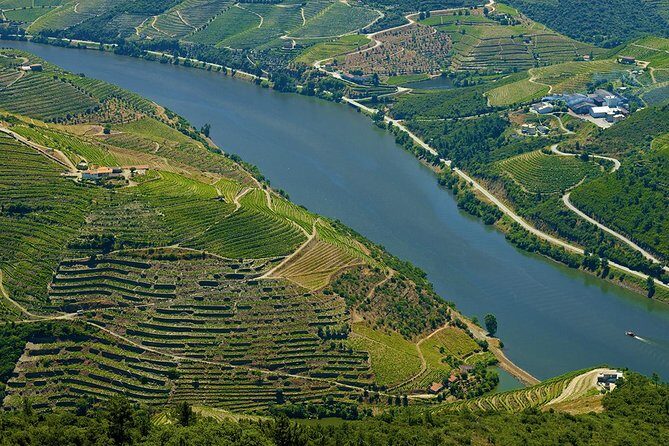 Porto: Day Trip to Douro including lunch and Rivercruise - Some Considerations and Potential Drawbacks